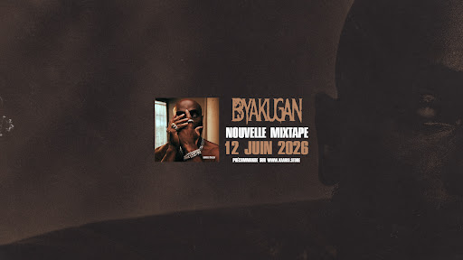 Kaaris banner