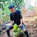 Kangsumar999 avatar