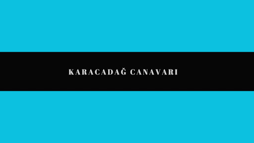 Karacadağ Canavarı banner