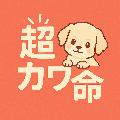 カワイイが勝つ avatar