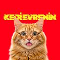 KEDİ EVRENİN avatar