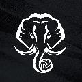 Kerala Blasters avatar