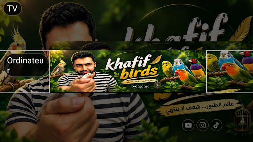 Khafif BirDs banner