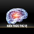 KIẾN THỨC THÚ VỊ Official avatar