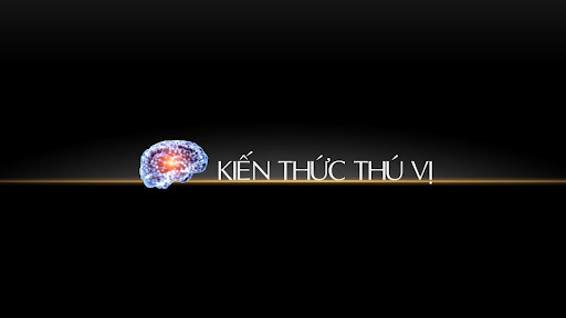 KIẾN THỨC THÚ VỊ Official banner