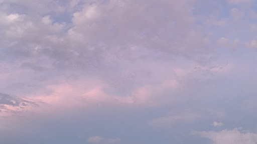 Kim Migneault banner