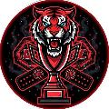 KnockoutZone avatar