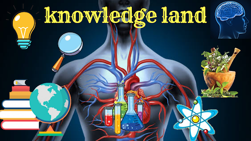 knowledge land banner