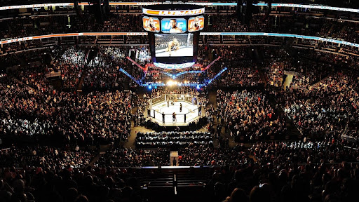 Kolos MMA banner