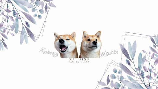 シヴァ犬こむぎっす-KOMUGI banner