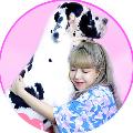กุ๊กกุ๊ก channel avatar