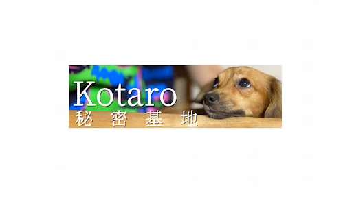チワックスこたろうのヘソ天 banner