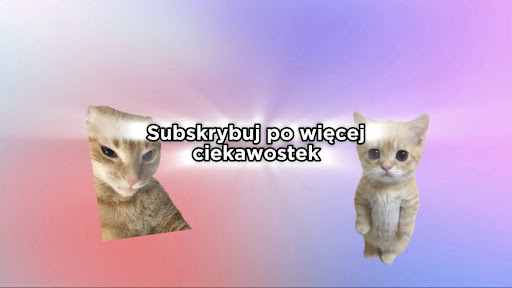 KotoFakty banner