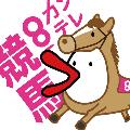 カンテレ競馬【公式】 avatar