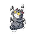Kucing Internet avatar
