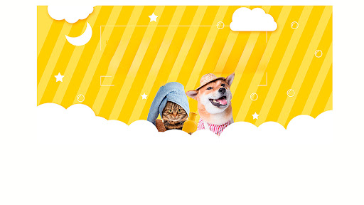 宠哈哈 banner