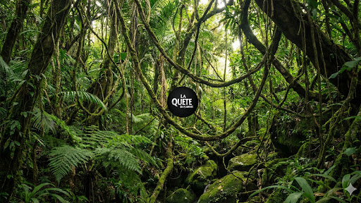 La Quête du Savoir banner