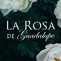 La Rosa de Guadalupe avatar