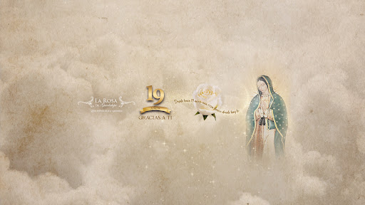 La Rosa de Guadalupe banner
