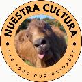Las 1000 curiosidades avatar
