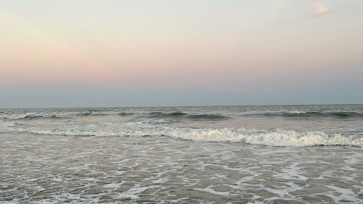 Lauren Kim banner