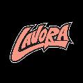 LAVORA Official avatar