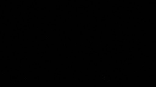 Ldxcarzoo  banner