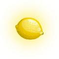 Lemon Animation avatar