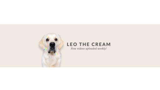 Leo the Cream Golden Retriever banner