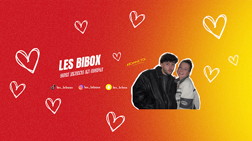 Les Bibox banner