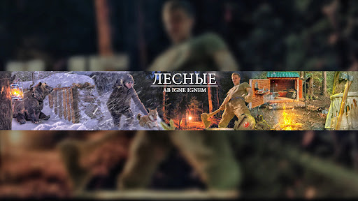 ЛЕСНЫЕ banner