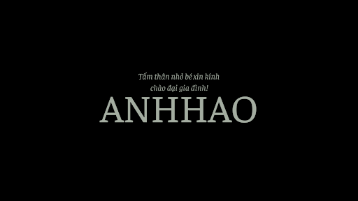 ANHHAO VN banner