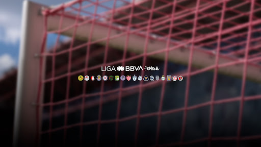 LIGA BBVA MX FEMENIL banner
