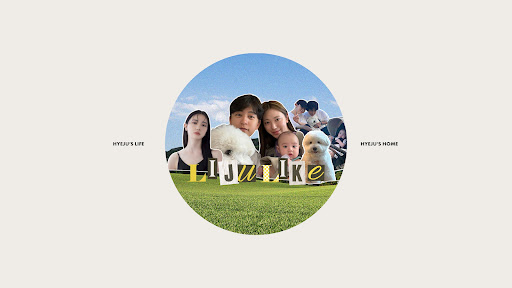리쥬라이크 LIJULIKE banner