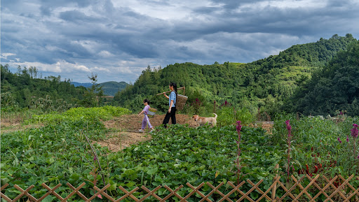 龙梅梅Longmeimei banner