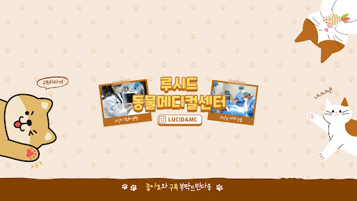 24시 루시드동물메디컬센터 banner