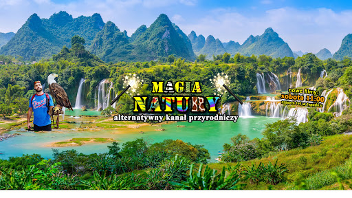Magia Natury banner
