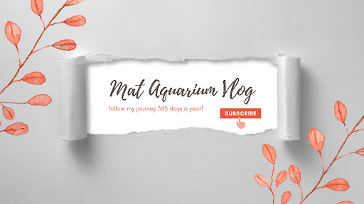 Mat Aquarium banner