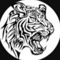 Indian gaming 1 avatar