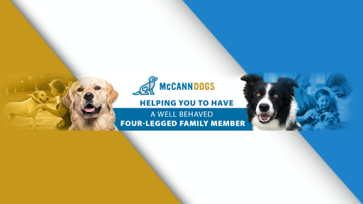 McCann Dog Training banner