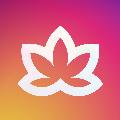 Meditative Mind avatar