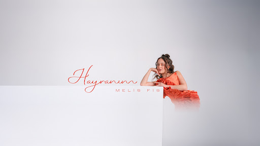 Melis Fis banner