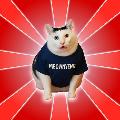 Meownyeng avatar
