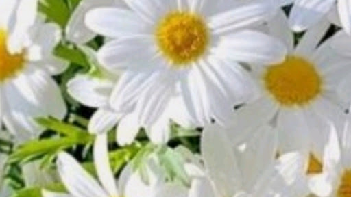 Ahsan Cbt banner