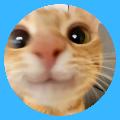 MiauMemy avatar