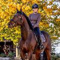 Momo Equestrian avatar
