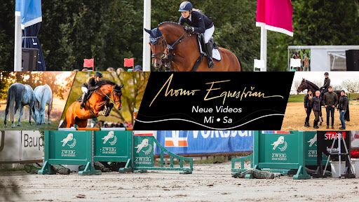 Momo Equestrian banner