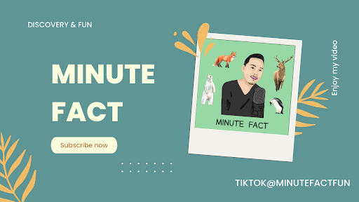 Minute Fact banner