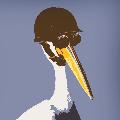 Modest Pelican avatar
