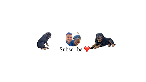 Rottweiler The Bruzzo banner